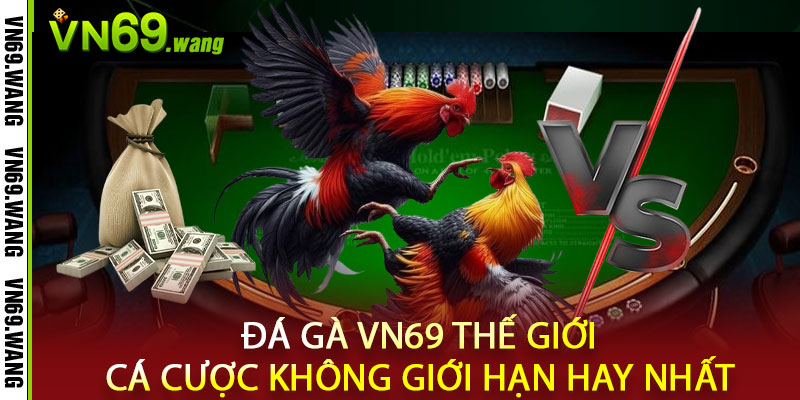 Đá Gà VN69