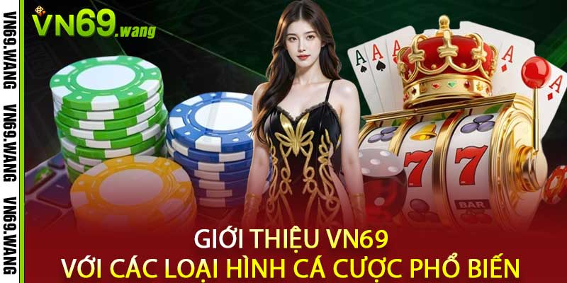 Giới thiệu VN6